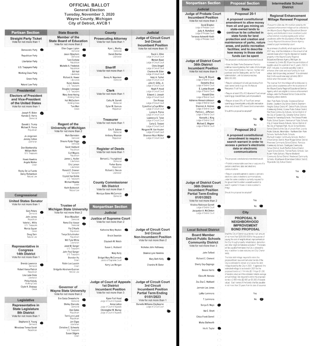 Primary-style BMD ballot example 1